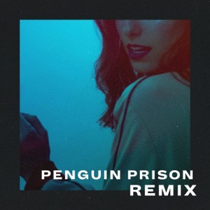 Down Low (Penguin Prison Remix) - Single