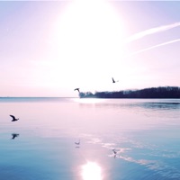 February - Single - luvbird