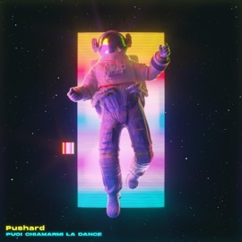 Giacca Di Pelle (feat. Grein & Dankan) Pushard