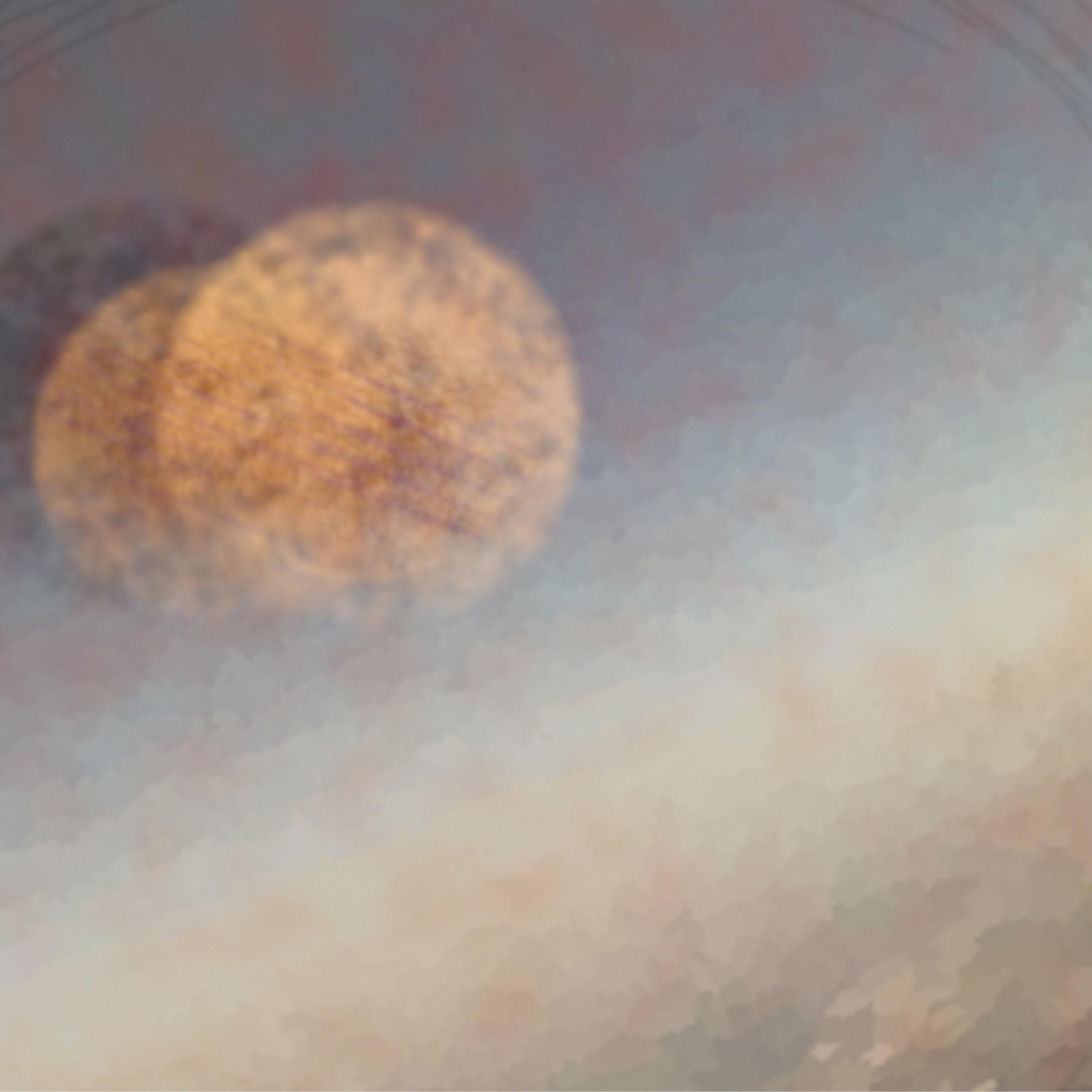 It Was Right Where You Left It - EP