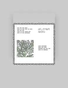 Ashenを聴いたり、ミュージックビデオを鑑賞したり、経歴やツアー日程などを確認したりしましょう！