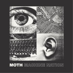 MOTH - Jealousy