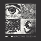 Moth - Jealousy