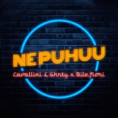 Ne puhuu (feat. Bile.Fioni) artwork