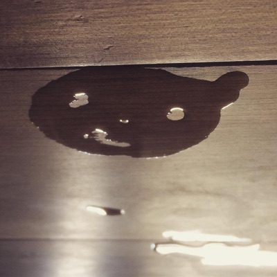 Another Genuis Idea - Single