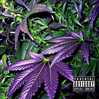 On My Mind (feat. Melodii) - Single