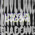 Living in Shadows