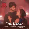 Teri Nazar