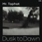 Twilight - Mr. Tophat lyrics