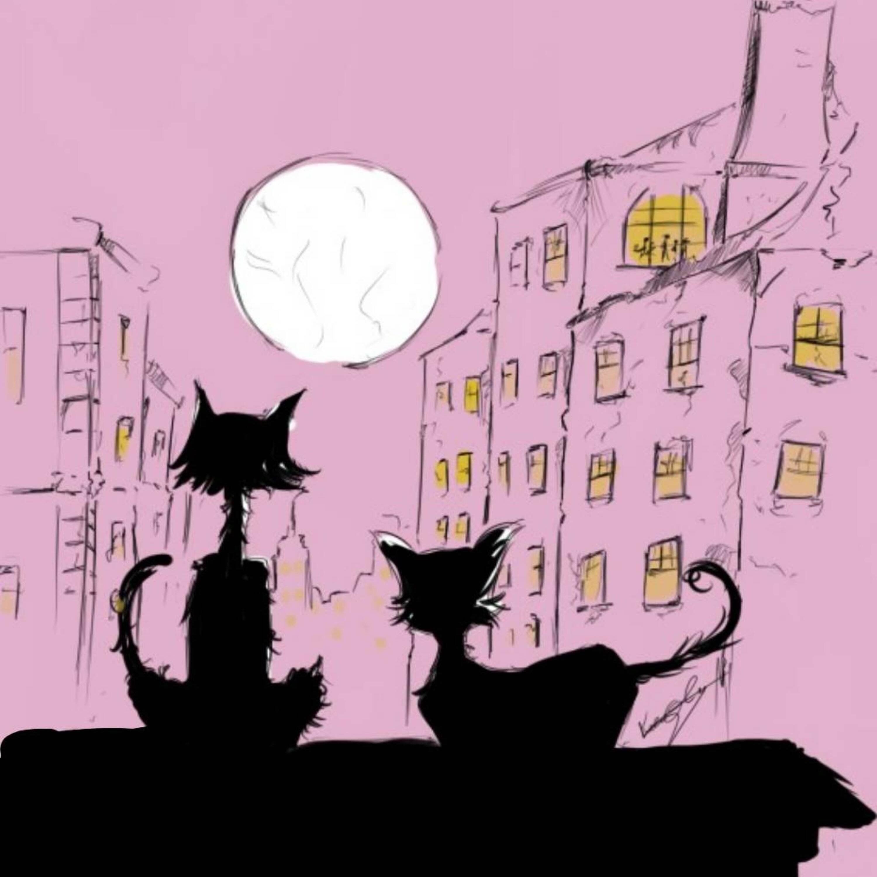 Pulo do Gato - Single