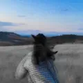 ro