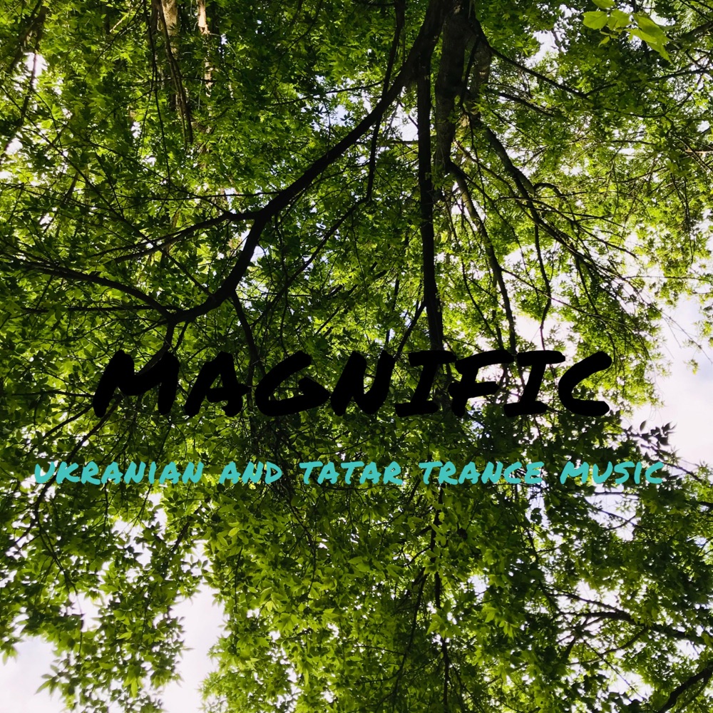 Обложка альбома «Magnific» — Usein Bekirov