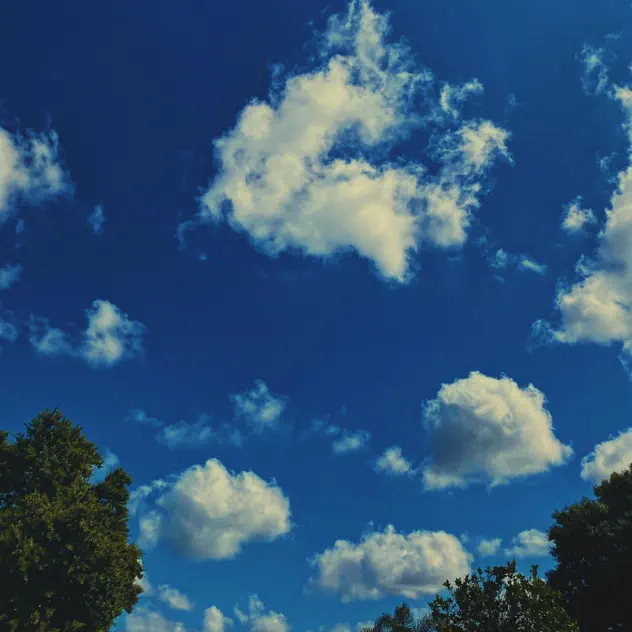 ISO cover artwork