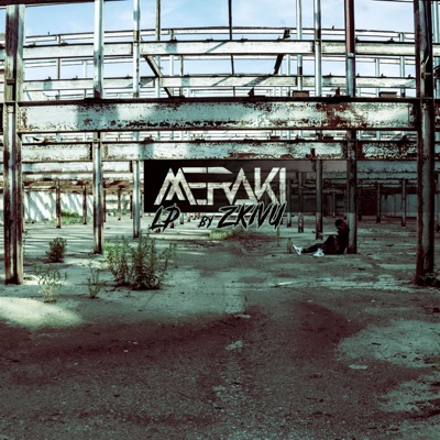 Meraki