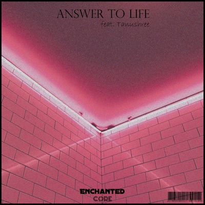 Answer to Life (feat. Tanushree) - Single
