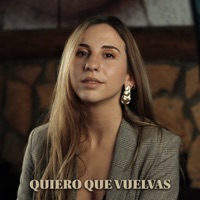 Quiero que vuelvas (Acústica) - Single - Lou Cornago