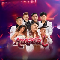 Grupo Amaral Bolivia - Mala Mujer