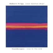 Love Cannot Bear: Soundscapes (Live in the USA) artwork