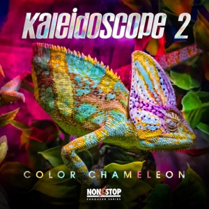 Kaleidoscope 2: Color Chameleon - EP
