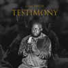 Testimony - Single