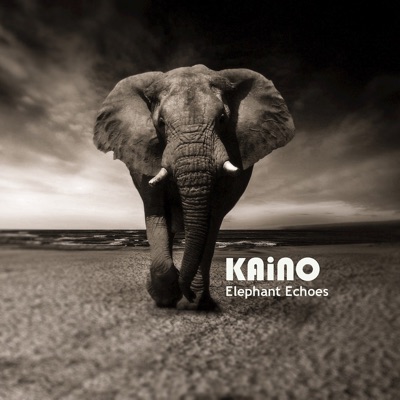 Elephant Echoes - EP