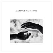 Damage Control artwork