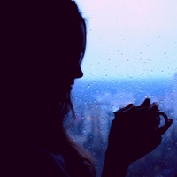 Beautiful Rain - Single - Moonlight Echoes