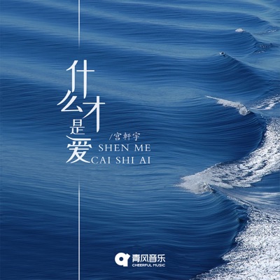 什么才是爱 - Single