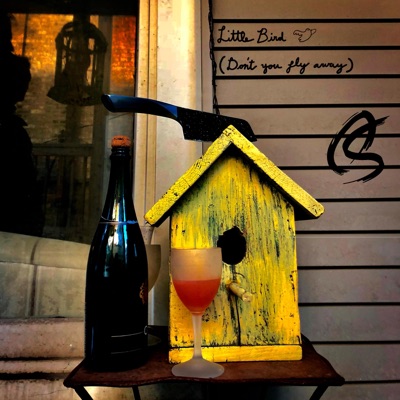 Little Bird - Single