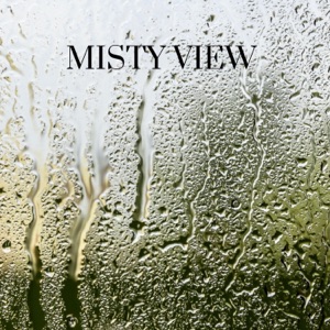 Misty View