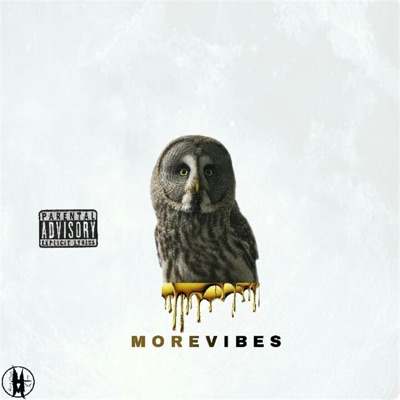 More Vibes - EP
