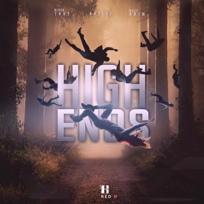 High Ends (feat. Native_sa, Blvck Troy & Razy Brim) - Single