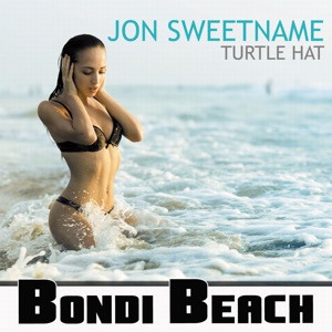 Turtle Hat - Single