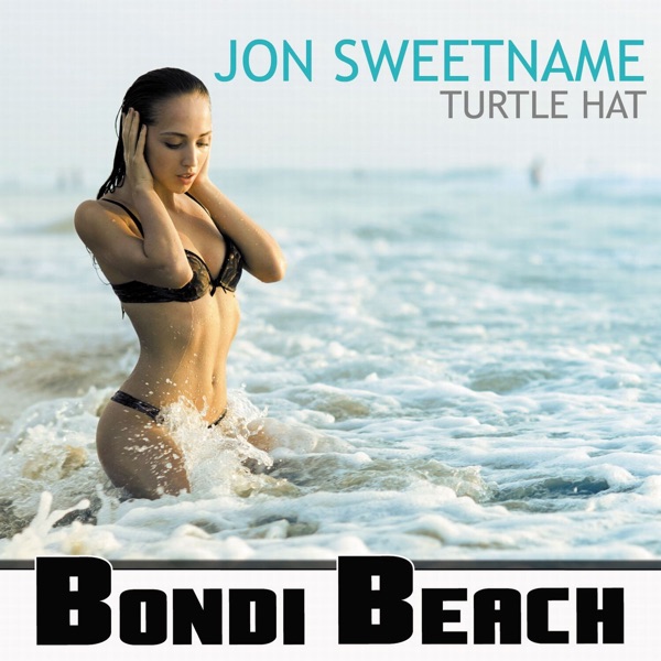 Turtle Hat - Single