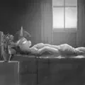 Remembrance in Suspended Animation