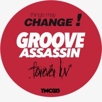 Forever Luv (Dubstrumental) - Single - Groove Assassin