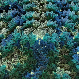 Ngo Ma - EP