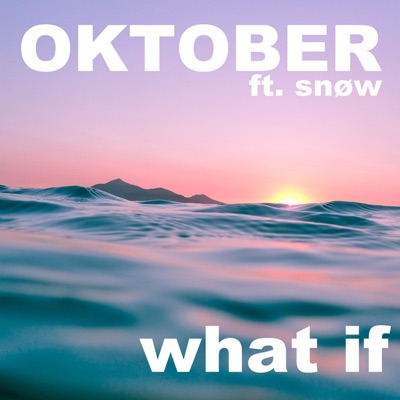 What If (feat. Snøw) - Single