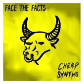 Face the Facts artwork