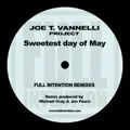 Joe T Vannelli