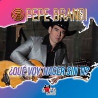 Qué Voy Hacer Sin Ti - Single - Pepe Brandi