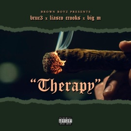 Therapy (feat. Bruc3, Liasco Crooks & Big M) Brown Boyz