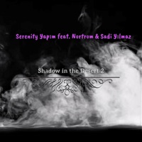 Shadow in the Desert 2 (feat. Nortrom & Sadi Yılmaz) - Single - Serenity Yapım