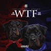 Wtf (feat. Rahli) - Single