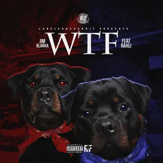 Wtf (feat. Rahli) - Single by Jim Blanka album reviews, ratings, credits