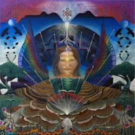 Dimethyltraptamine Murkury