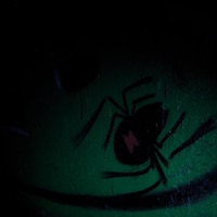 This did Not Happen - Single - 1dvvid