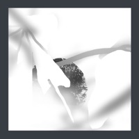 Glare - Single - Arude & Tantum