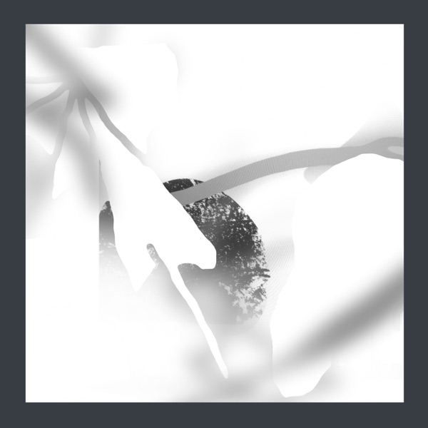 Glare - Single