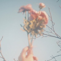 Someone Else - Single - palffi